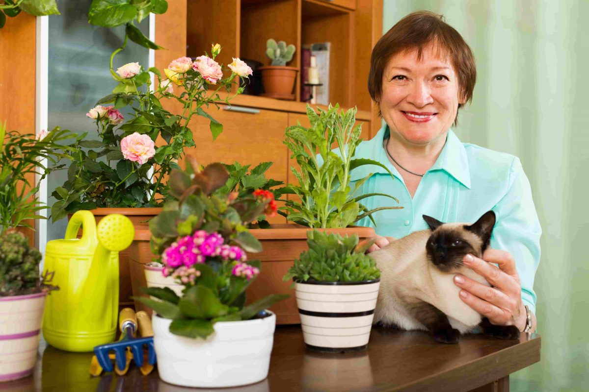 AMOR DE IDOSOS E PETS: idoso em casa com seu gato.