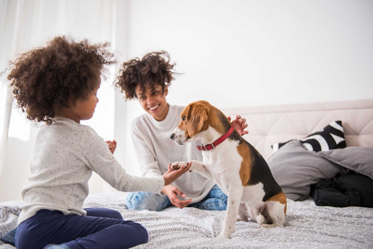 PETS NA PANDEMIA: mãe e filha brincando com seu pet na cama.